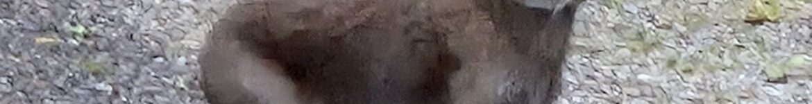 1000025495